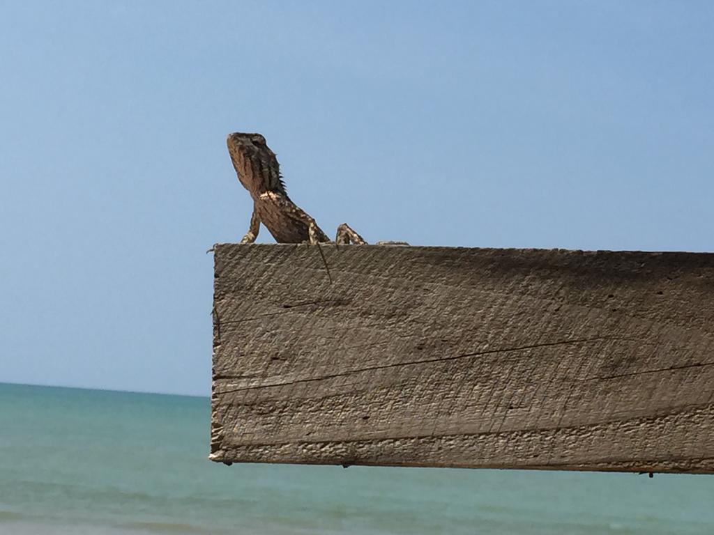 Paradis Villa B3 Koh Kho Khao Island Pokój zdjęcie